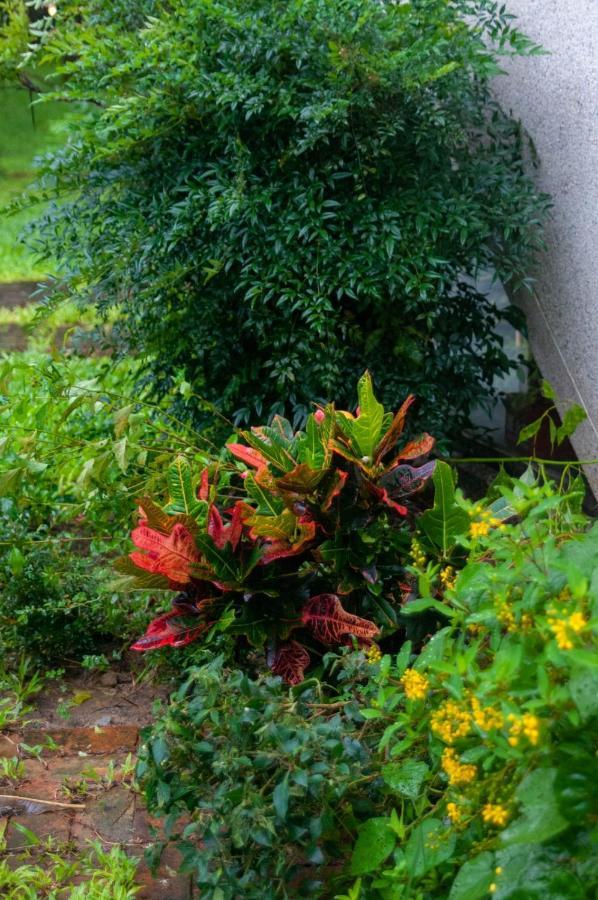 Hostal Siang Tsao Yu Chong Sanyi Exterior foto